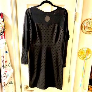 The Limited - Polka Dot Mesh Fitted Date Evening Dress